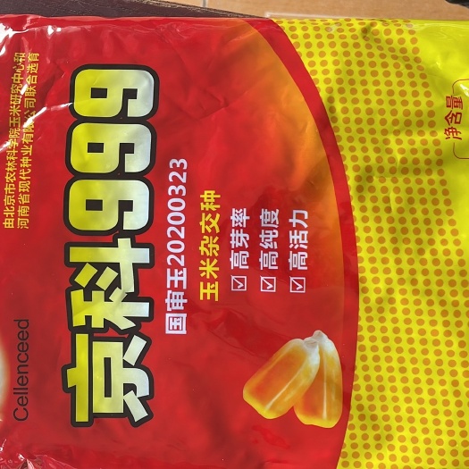临泉县京科999 好地配好种，选对品种最重要