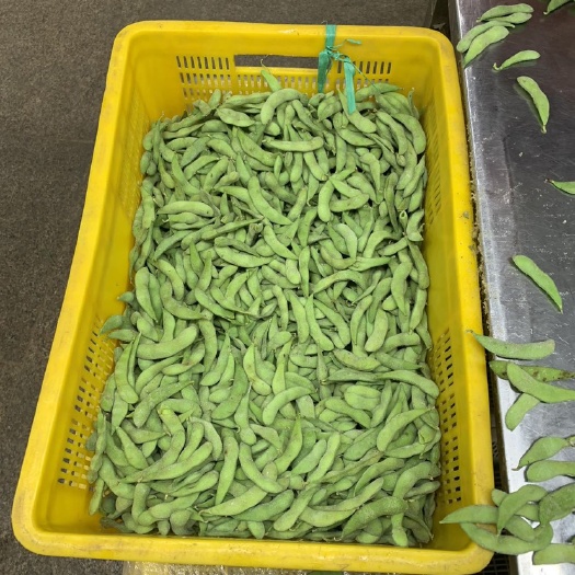 滕州市冻毛豆 75—3  出成率高 欢迎前来选购