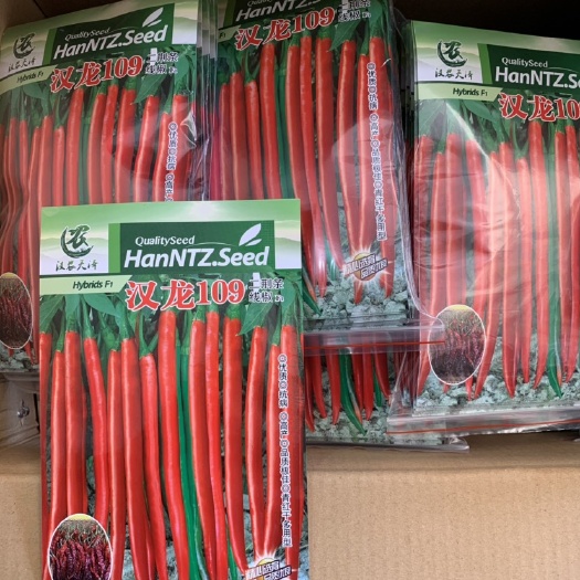 大理市二荆条辣椒种子 精品二荆条线椒，青红干三用型，鲜食，加工等！