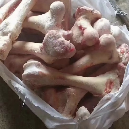 无棣县山东牛骨 物流专线 品质保证 散装鲜冻 富含营养 定量供应