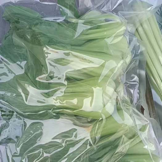 上海青 精品油菜