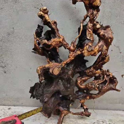 南部县黄荆桩  精品镂空薄皮舍利