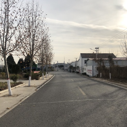新郑市果园露天场地出租，可以放设备物品，可以经营采摘果园
