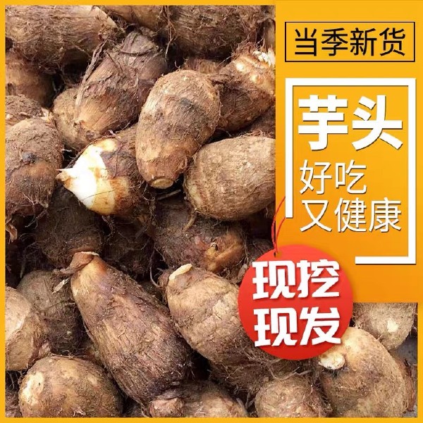 山东牛奶小芋头批发新鲜香芋3/5/9斤整箱现挖毛芋头软糯芋仔