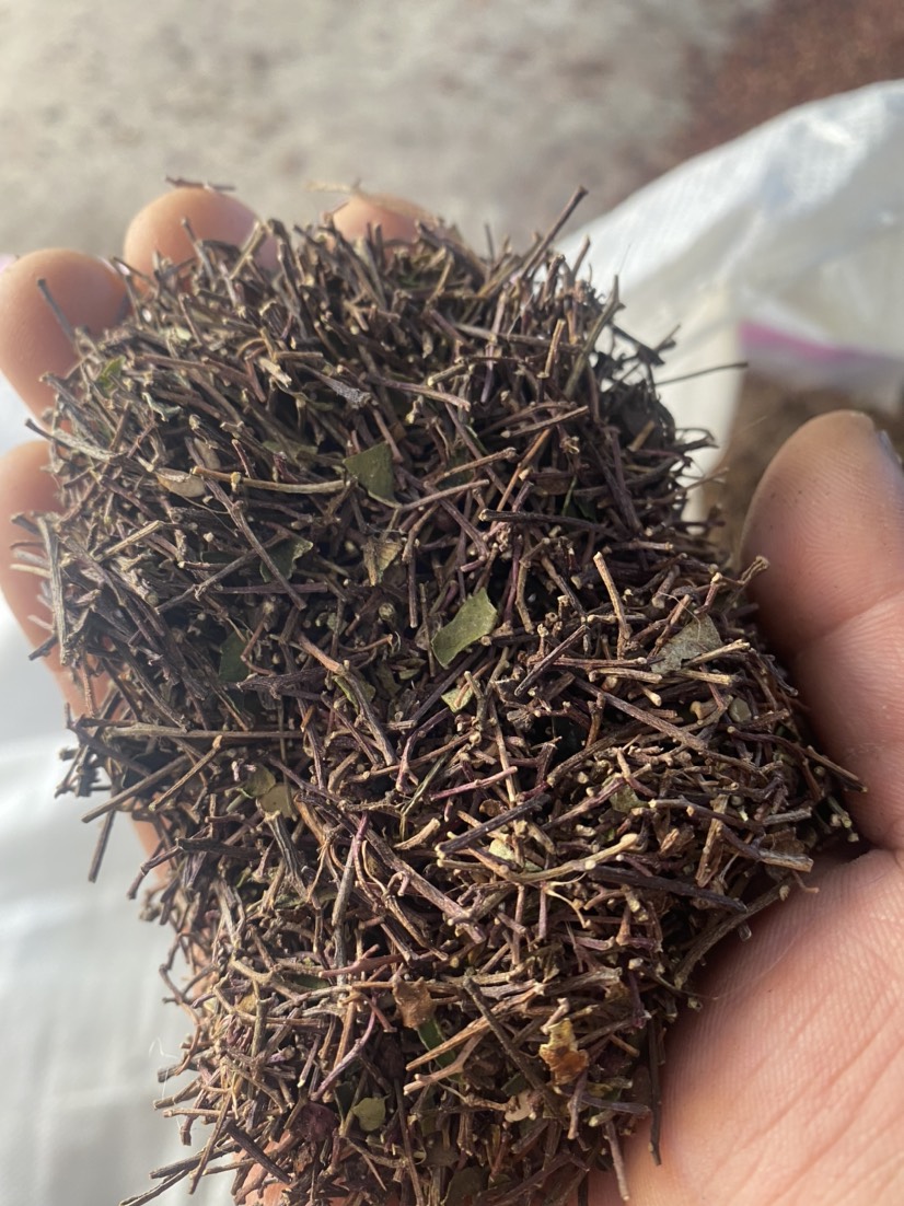 涉县河北涉县花椒杆天然晾晒不打农药可打粉花椒枝