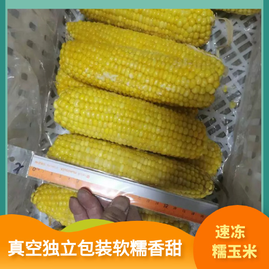 依安县冻豆角 速冻油豆角口感特别好吃餐桌上的美味佳肴乡村小菜园