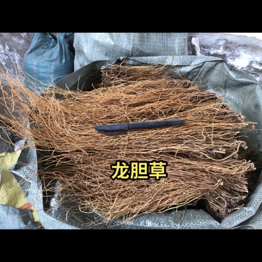 云县龙胆草 产地直销