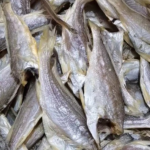 日照小黄鱼 黄海自家一手黄花、鱼干