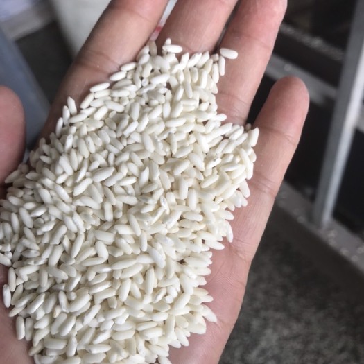 长沙 糯米