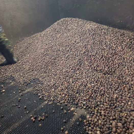 宜春 农家山茶油