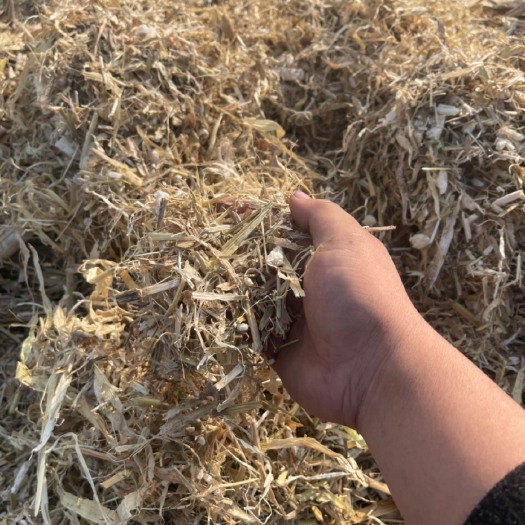 寿阳县 玉米秸秆