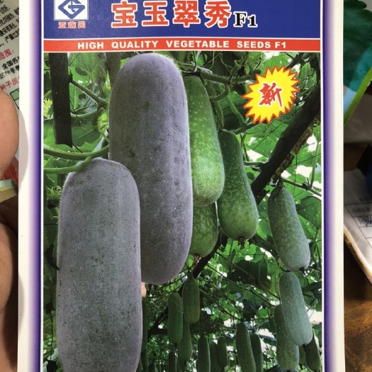 遂溪县宝玉翠秀 冬瓜种子 毛节瓜种子、粉皮小冬瓜