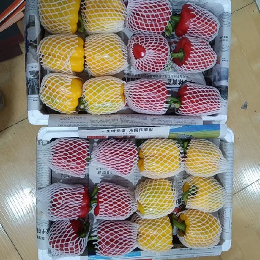 寿光市彩椒---￼【基地直供、一件代发】，24小时在线！