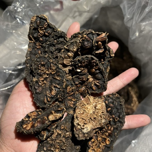 万宁市批发诺丽果干果 青果
