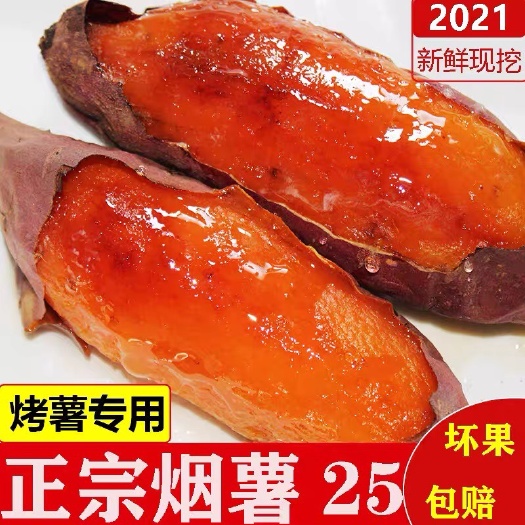 临清市烟薯25大中小果蜜薯红薯红心烤薯地瓜番薯烤薯店专用一件代发