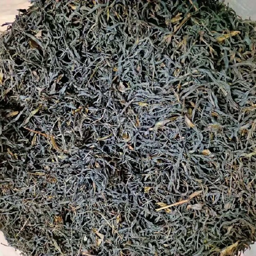 潮州单丛茶 爆款凤凰单枞