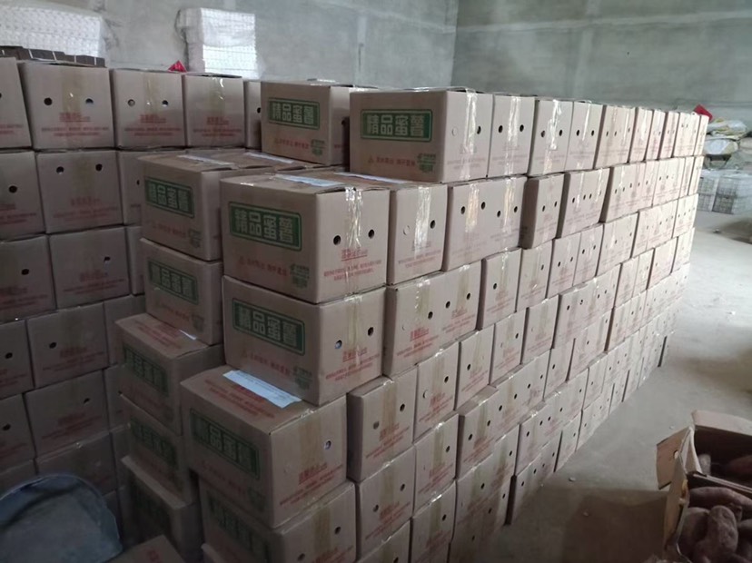 电商一件代发 正宗烟薯25 番薯红心 红薯烤薯烤地瓜 山芋