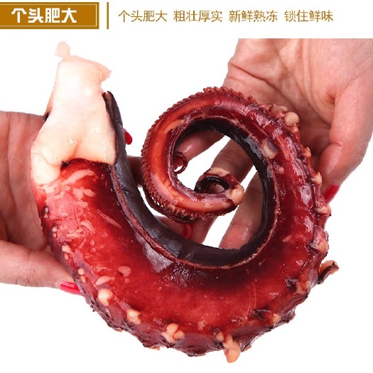 连云港【大章鱼足】鱿鱼须脆口大章鱼足新鲜速冻章鱼须海鲜批发大鱿鱼须