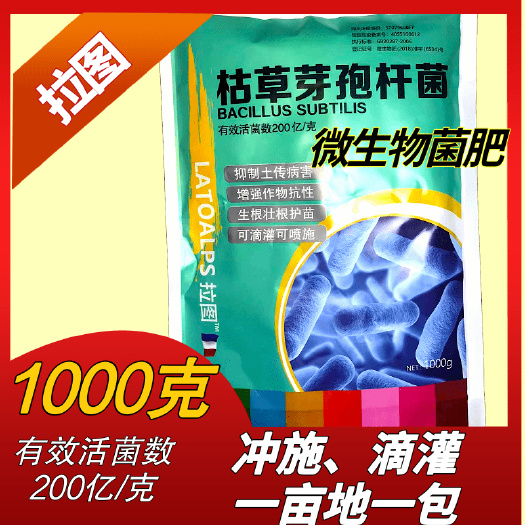潍坊200亿枯草芽孢杆菌 生根抗重茬冲施滴灌菌肥