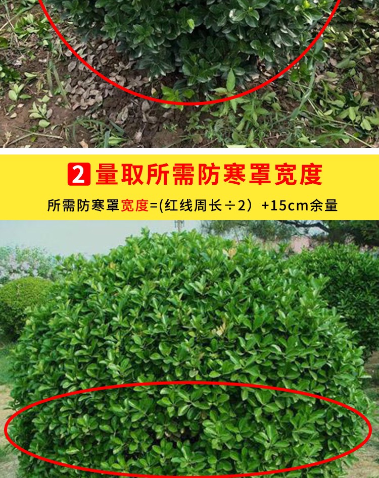 防寒布 植物保暖无纺布包裹树木保护园林灌木绿化带缠树防风防