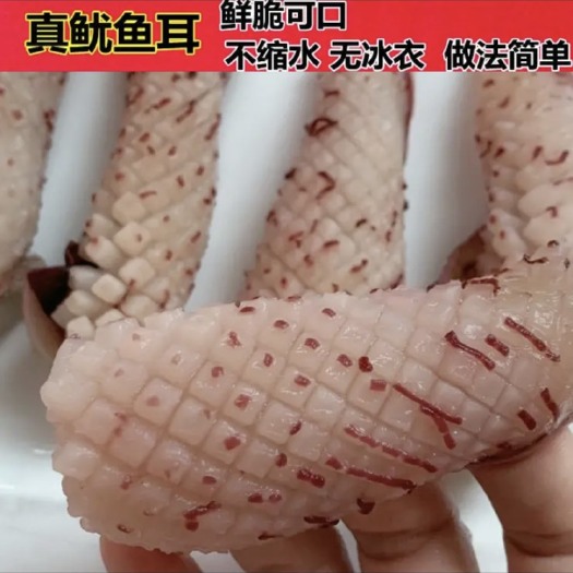 连云港[厂家直销]牛角花鱿鱼花铁板鱿鱼自助餐火锅食材烧烤食材