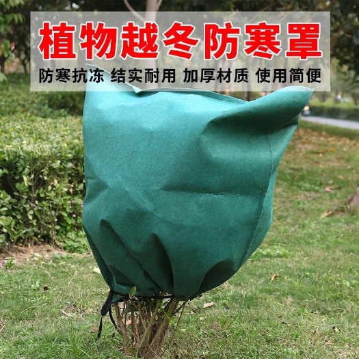 沭阳县防寒布 植物保暖无纺布包裹树木保护园林灌木绿化带缠树防风防