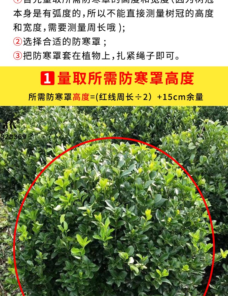 防寒布 植物保暖无纺布包裹树木保护园林灌木绿化带缠树防风防