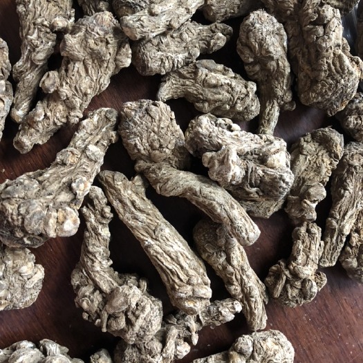 云当归 当归 当归头 当归片 丽江当归头 无硫优质当归产地一