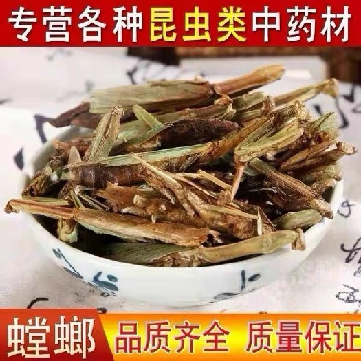 大刀螳螂 螳螂药材 螳螂中药材干刀螂昆虫类保质保量品种齐全