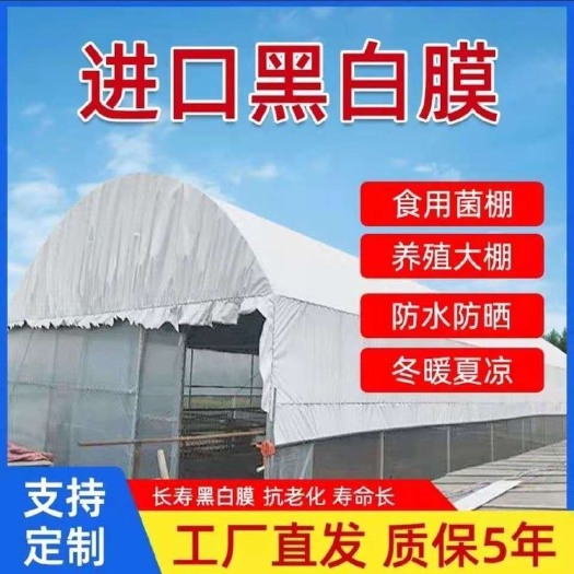 沭阳县棚膜 抗老化加厚养殖黑白膜遮光膜透明大棚塑料布隔热降温膜