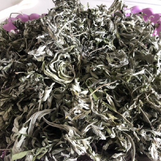 平邑县艾草 沂蒙山区优质纯艾叶，纯叶