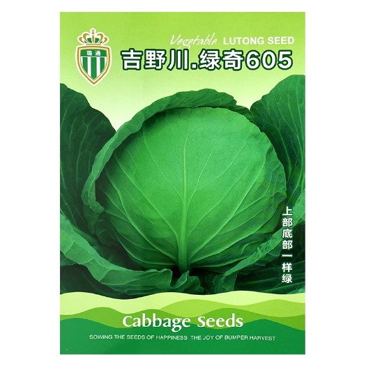 绿甘蓝种子绿奇605甘蓝种子蔬菜基地专用上下一致绿净含量10