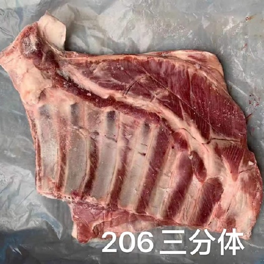 武汉羊肉类  206绵羊三分体