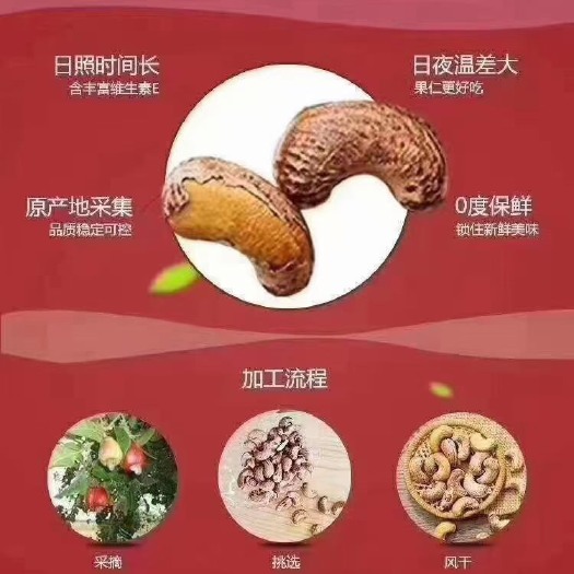 北海 越南特级盐炒大腰果，个个都是人工精选，品质优！吃了还想！