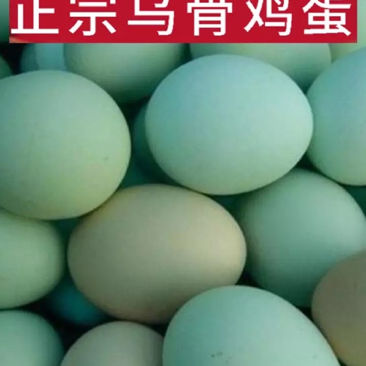 山阳县绿壳乌鸡蛋