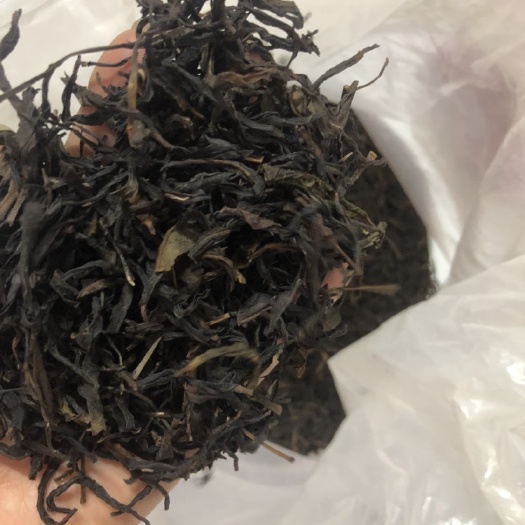 汕头单丛茶 凤凰单丛蜜兰香