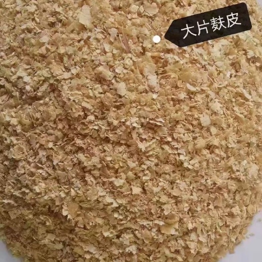 石家庄麦麸 麸皮