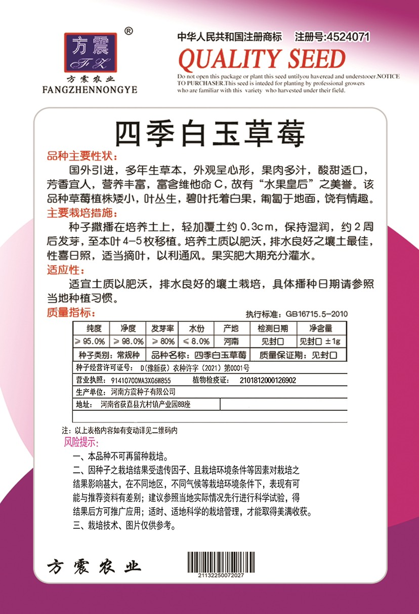  四季奶油草莓种子大果牛奶白草莓种籽苗庭院阳台盆栽蔬菜水果种子