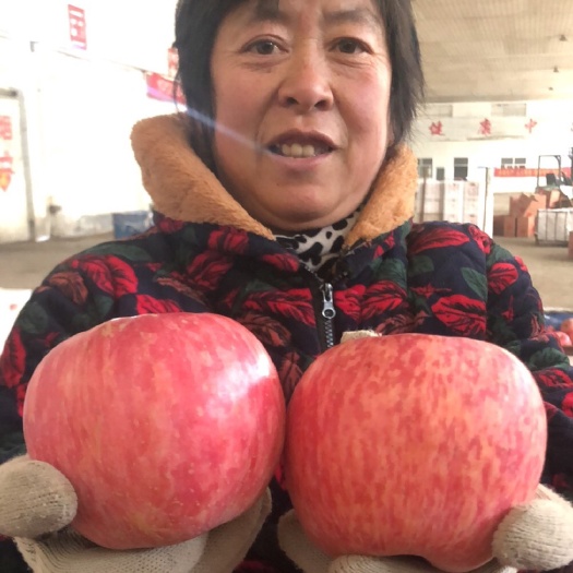 蒙阴县红富士苹果 库存红富士苹果产地 沂蒙山苹果种植基地