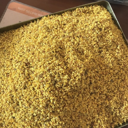 阳朔县桂花瓣 桂花干