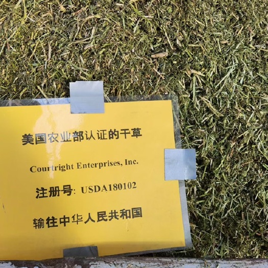 天津苜蓿草饲料 搅拌出来的清香苜蓿