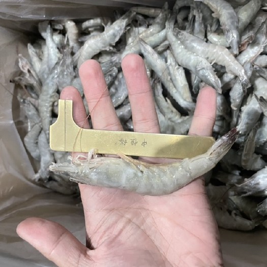  活冻对虾 单冻南美白对虾 支持定制加工 自助餐采购产品
