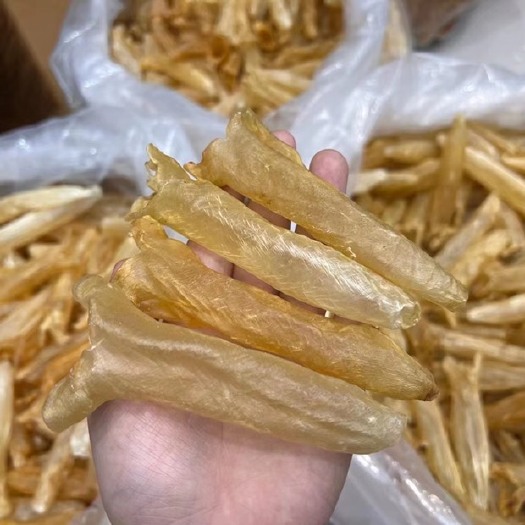 广州 黄花胶筒60头
