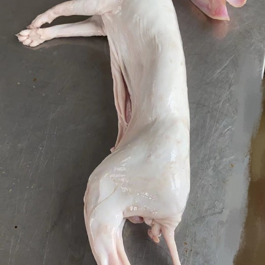 盐城兔肉类 带皮带头（家兔商品兔，毛兔老兔）