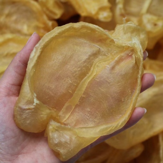 广州 上好精选开边黄花胶