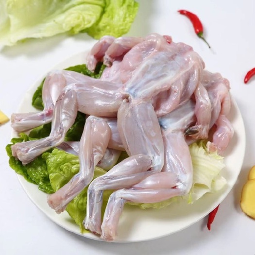 汕头新鲜现杀牛蛙肉烧烤饭店酒店水产蛙肉冰鲜
