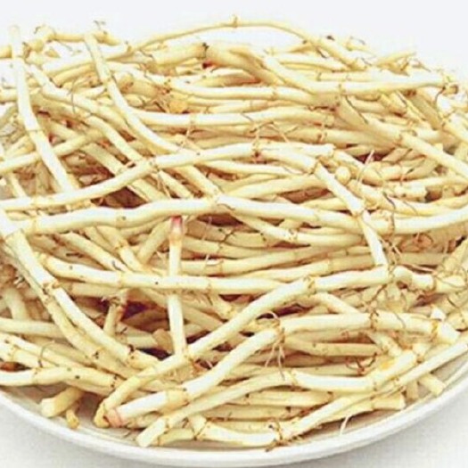 贞丰县鱼腥草根 现挖新鲜鱼腥草 野生折耳根 凉拌菜野菜土特产