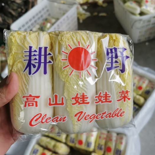 宜城市小娃娃菜，毛菜净菜精装都有，可根据需求提供产品，价格优惠