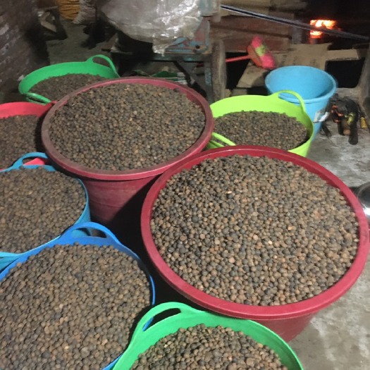 通道县 山茶油 ，自己的榨油坊，现榨的山茶油，卫生品质有保障