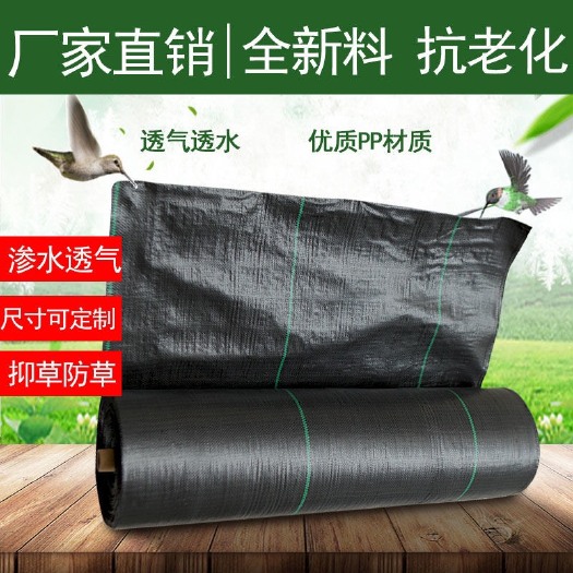 沭阳县农用加厚园艺防草布除草布地布耐用抗老化遮盖草果树园透气保湿